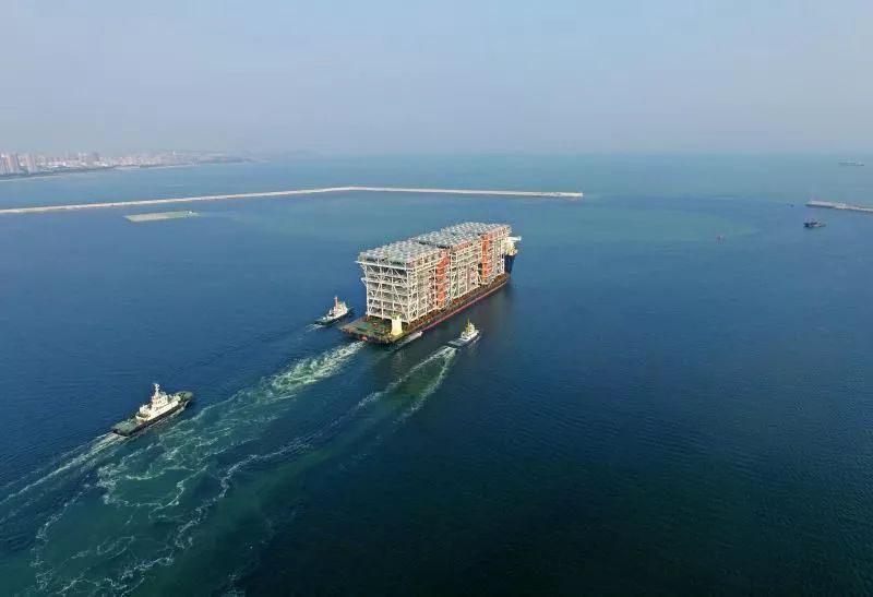 的品牌心智 的品牌心智